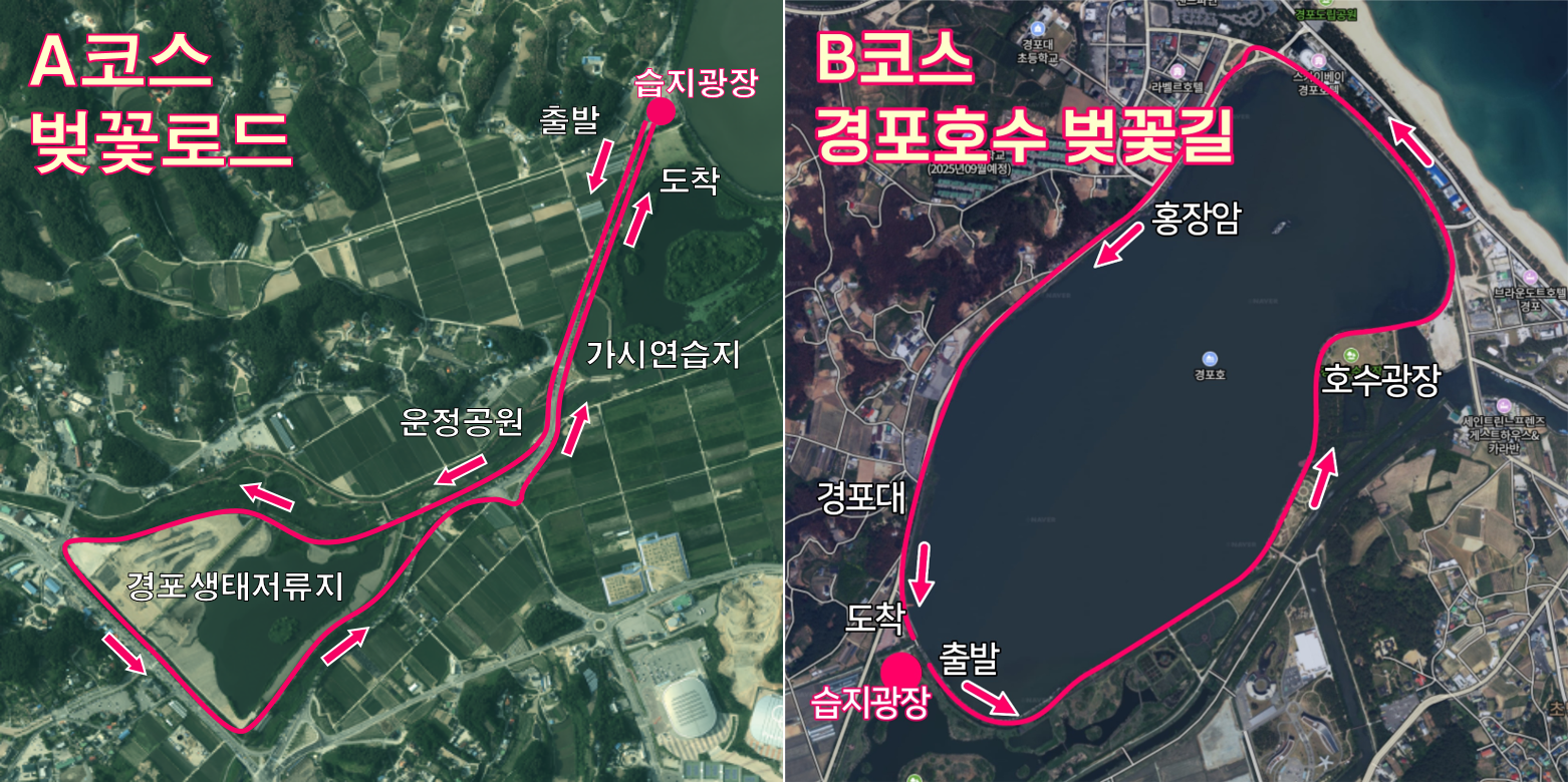 2026 경포 벚꽃 힐링걷기 행사 「초속 5㎝, 시속 5㎞」 개최 안내 이미지 2