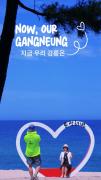 "푹푹 찔 땐 해변보다  솔밭 아래로" 이미지