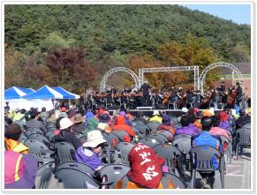 10월 25일 교향악단 대관령 옛길걷기대회 기념연주 이미지