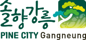 솔향강릉 PINE CITY Gangneung