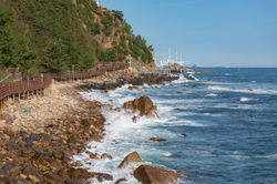 正东深谷海扇路