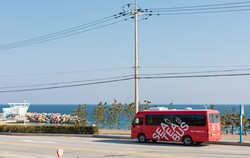 海茶（SEA TEA）巴士