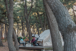 连谷海边松香露营场