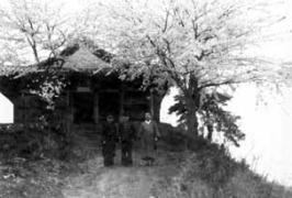 경포대 벗꽃 1935년 4월 이미지