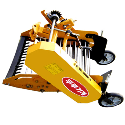 ��õ����) ��Ȯ��[����(65cm)
